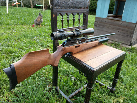 Vendo mi bsa superten .
Calibre 5.5
Versión nogal.
Impecable . Sin marcas de uso.
Carabina de calidad, 00