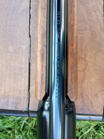 Vendo mi bsa superten .
Calibre 5.5
Versión nogal.
Impecable . Sin marcas de uso.
Carabina de calidad, 21