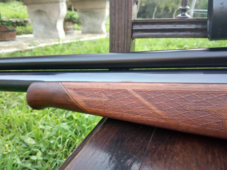 AA s510 thumbole nogal zurdo.
Impecable y sin tuneos. 
Superprecisa.
Calibre 5.5
Visor bsa 3-9×44
500e 00