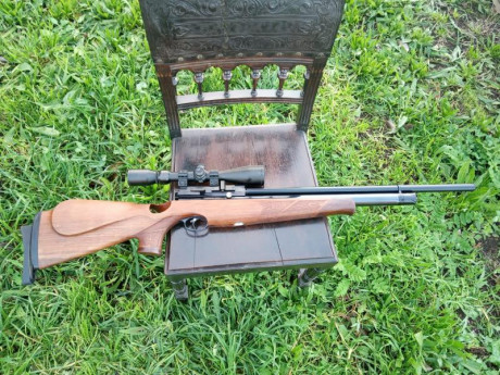 AA s510 thumbole nogal zurdo.
Impecable y sin tuneos. 
Superprecisa.
Calibre 5.5
Visor bsa 3-9×44
500e 11