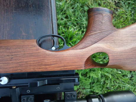 AA s510 thumbole nogal zurdo.
Impecable y sin tuneos. 
Superprecisa.
Calibre 5.5
Visor bsa 3-9×44
500e 10