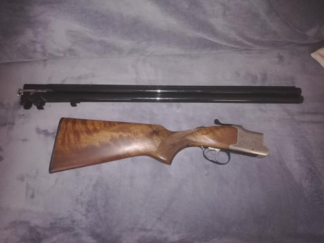 Edito este post antiguo para no crear otro asunto.

Hola, soy novato en el mundo de las armas. Voy a comprar 150