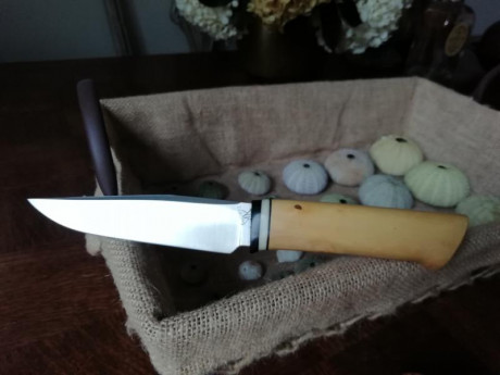 Vendo un cuchillo hecho a partir de una hoja Tomascewski de acero al carbono 80CrV2 de 12cm de longitud, 02