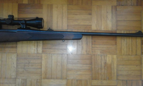 Rifle BSA CF-2 calibre 270 Win., maderas al aceite, bases Warne, buen estado estetico y funcional, precio 10