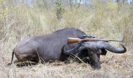 Hola.
Tengo la opción de hacerme con un cañón para mi Blaser R8 seminuevo recamarado para uno de esos 70