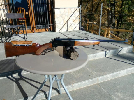 Rifle de acción suave, cañón de 56 cm., gatillo mejorado (1,5 Kg), regulador de culata, alza y punto de 02