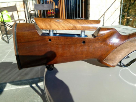 Rifle de acción suave, cañón de 56 cm., gatillo mejorado (1,5 Kg), regulador de culata, alza y punto de 01