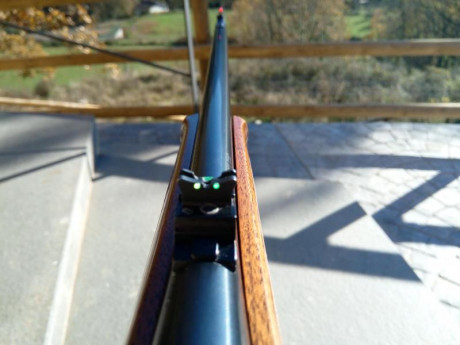 Rifle de acción suave, cañón de 56 cm., gatillo mejorado (1,5 Kg), regulador de culata, alza y punto de 11