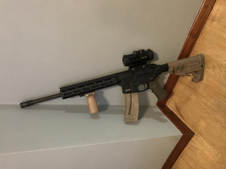 Cambio Smith&Wesson mp15 22lr por 9 mm precision. Muchos extras, muy poco uso, tiene aparte todas 02
