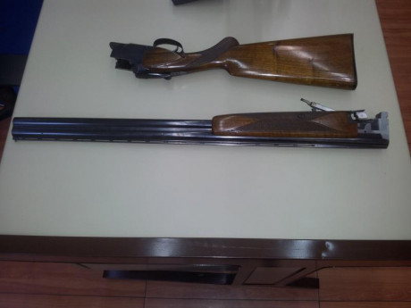 Se vende o cambia escopeta superpuesta Browning B-25 Sporting en perfecto estado.
Necesito un hueco.
400 01