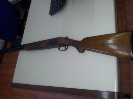 Se vende o cambia escopeta superpuesta Browning B-25 Sporting en perfecto estado.
Necesito un hueco.
400 10