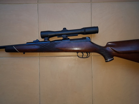 Hola a to2, vendo rifle Mauser 66 del cal. 8x68 con monturas Shuler y visor Smith Bender de 1 3/4 6x y 12
