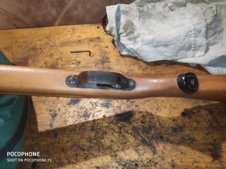 Pues lo dicho vendo la carabina, esta muy bien estéticamente pero el guardamontes no es original, lleva 11