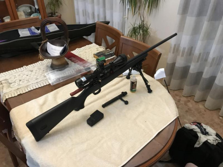 y quiero comprarme un rifle del calibre 308 para disparar a 100 y a 200 mtrs. .Ya tengo un visor suficiente. 142