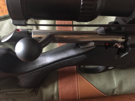 CARACAL 30-06 y VISOR DALL´S SHEEP 1-6×24, Rifle de cerrojo clásico, cuerpo sintético, con cargador extraible, 00
