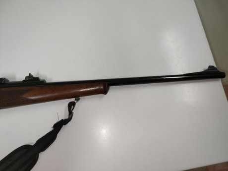 Buenas.
Vendo Mauser 66 M , el monogatillo con el pelo en la garganta, en calibre 30,06 con monturas COMPLETAS 10