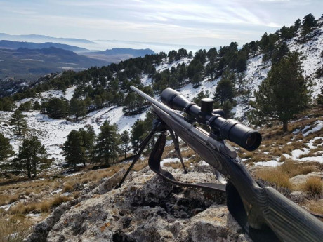Buenas noches compañeros, ando buscando por el foro opiniones sobre los rifles con acción/cañón en aceros 130