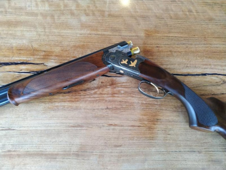 Se vende superpuesta beretta silver pigeon V del 20 02