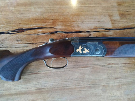 Se vende superpuesta beretta silver pigeon V del 20 00