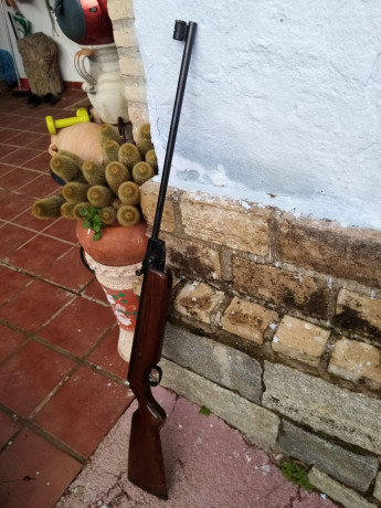 Buenos días a todos.
Un amigo me llama ayer para decirme que le han regalado una carabina de aire antigua 80