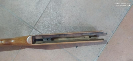Buenas ,hoy me regalaron unos despojos de carabinas una culata de madera y una gamo delta cadet de plástico 01