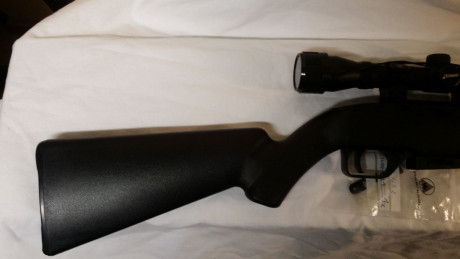 Hola de nuevo

Esta vez le toca a una Crosman 1077 en estado perfecto.
Version con fibra óptica.
Lleva 02