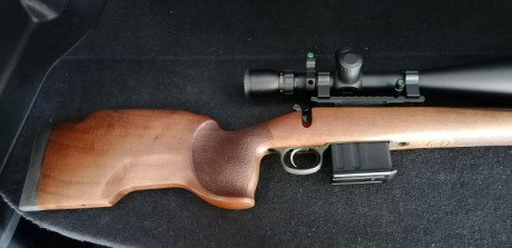 Hola compañeros, 
Muy a pesar mio, pongo a la venta mi CZ 557 Varmint en calibre 308W. Entre todo el lio 10