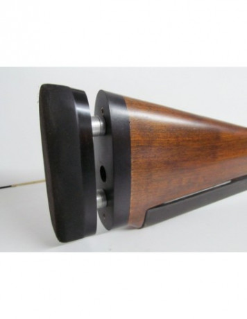 hola alguien sabria decirme si ha este rifle le sirve la culata del modelo 10-22lr 101