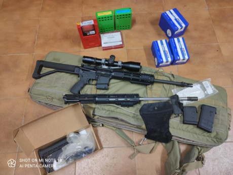 Muy buenas !! Vendo Ar15 DPMS 300 blackout con  uper 222 cañón macht Bergara con juego dies de ambos calibres 02