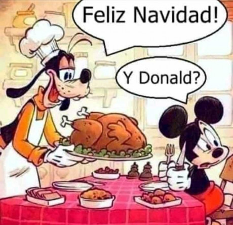 Hoy para comer acelgas hervidas y chuletón de vaca gallega vieja con seis semanas de maduración en cámara 70