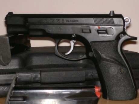 Estoy intersado encomprarme una pistola de 9mm para recorrido de tiro pero me gustaria que tubiera carro 21