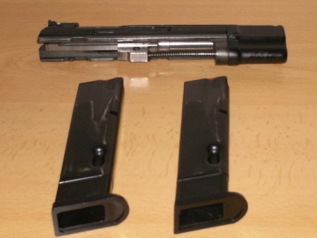Estoy intersado encomprarme una pistola de 9mm para recorrido de tiro pero me gustaria que tubiera carro 20