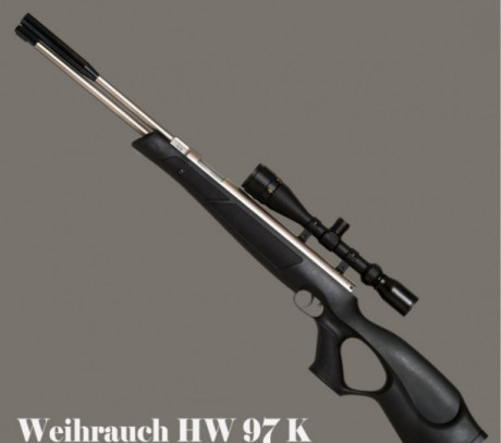 Me interesa cualquiera de estos dos modelos de Weihrauch HW 97 o HW 77 de calibre 4.5 primordialmente 10