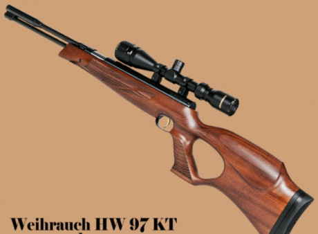 Me interesa cualquiera de estos dos modelos de Weihrauch HW 97 o HW 77 de calibre 4.5 primordialmente 21