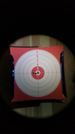 Mi carabina ha muerto, mientras veo qué más puedo hacer, me ha dado por mirar pistolitas, pero no quiero 170