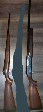 Vendo onena 500 22lr con 1 cargador de 5 y una aguja percutora de repuesto
120€
Vendo lamber semiautomatica 00