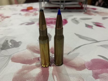 Hola a todos, me gustaría haceros una pregunta. Quiero cazar solo con un calibre para todo, principalmente 170
