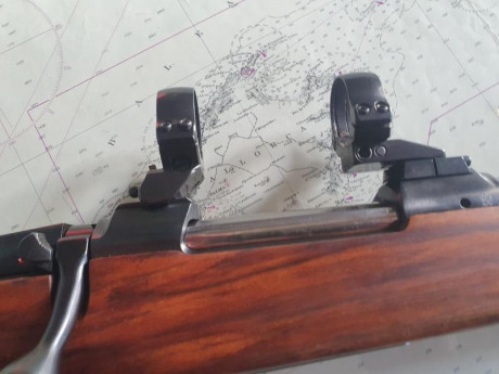 VENDO apel para cz537.bases y anillas de 30mm.
696927927.NICO
250e 00