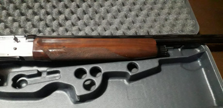 Hola vendo benelli rafaello crio del 12 practicamente como nueva, la compre por capricho pero sigo cazando 31