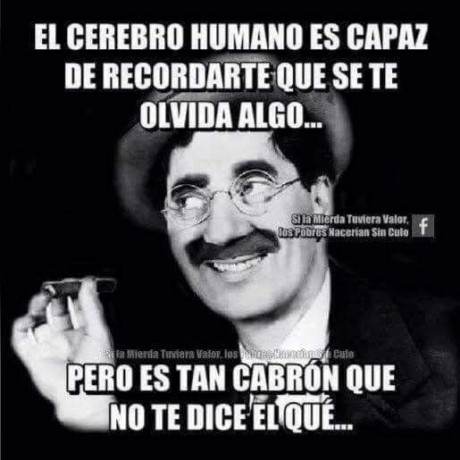 ¡Muy buenas a todos!

Estaba dando un paseo por el foro, cuando me he dado cuenta de que no había un hilo 20