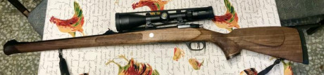 Un buen amigo que deja la caza me pide que le ponga un rifle que compro hace poco a la venta.
Se trata 01