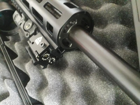 .Carabina s&w mp15 sport 22lr.Con muchos ascesorios.Visor BSA 3-9×40,Lasser,Holografico,Maletín,dos 01