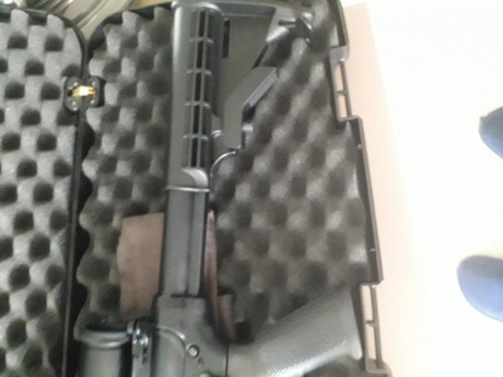 .Carabina s&w mp15 sport 22lr.Con muchos ascesorios.Visor BSA 3-9×40,Lasser,Holografico,Maletín,dos 10