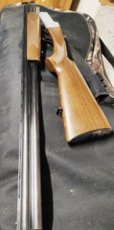 Se vende escopeta calibre 20. Marca Inverstan. 71 cm de cañón. Choques 3 y 1 estrella. Extractora. No 11