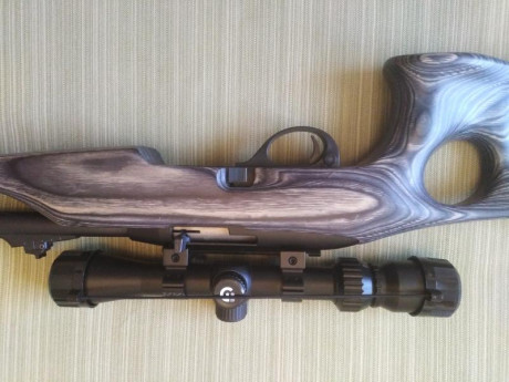 Hola a todos/as!
Por no usar, vendo rifle Remington 597 22 WMR, personalizado con estructura en madera 00
