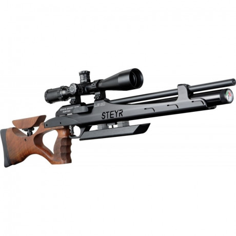 La duda que tengo es la siguiente:
tengo una Steyr LG110 en 4.5 que compré de segunda mano, para regular 11