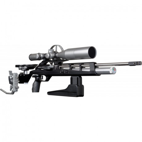La duda que tengo es la siguiente:
tengo una Steyr LG110 en 4.5 que compré de segunda mano, para regular 10