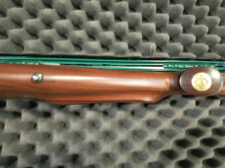 Rifle completamente nuevo,apenas ha disparado media caja de cartuchos.es de reestreno,ni la mas mÍnima 22