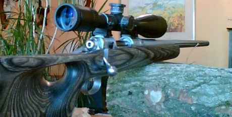 Estoy buscando rifle calibre 22-250 rem en buen estado, con precisión "decente", que no sea 20