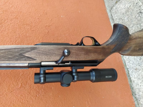 Browning acera battue 300 wm.
Monturas desmontables Leupold.
Visor de batida Avistar retícula iluminada.
1100 02